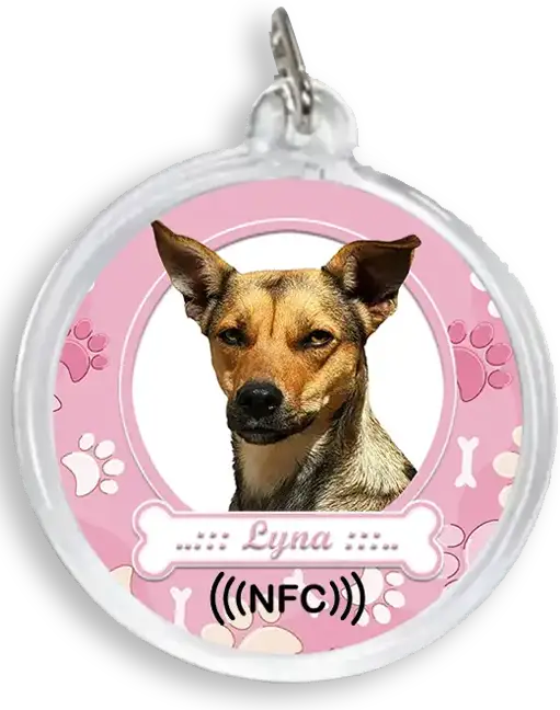 Lyna
